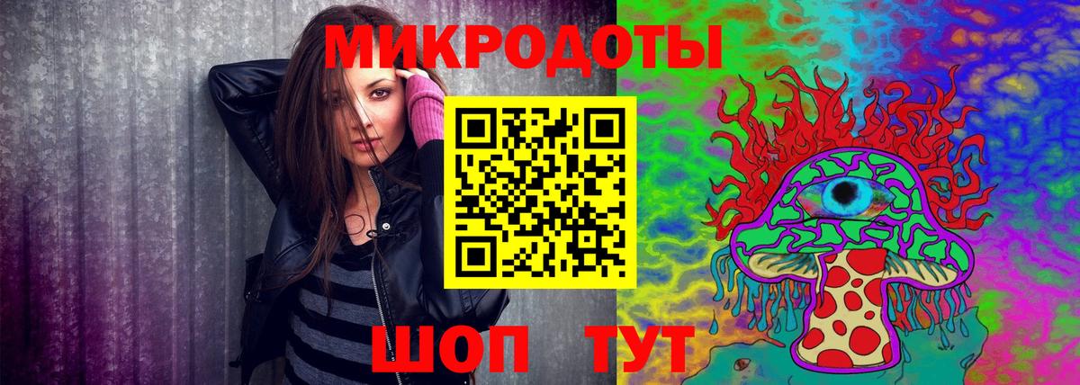 Галлюциногенные грибы Psilocybe Соликамск
